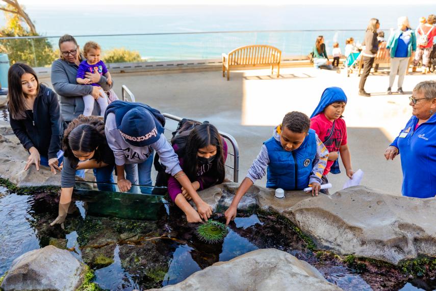 Students explore Tide Pool Plaza and get hands on with a sea anemone.