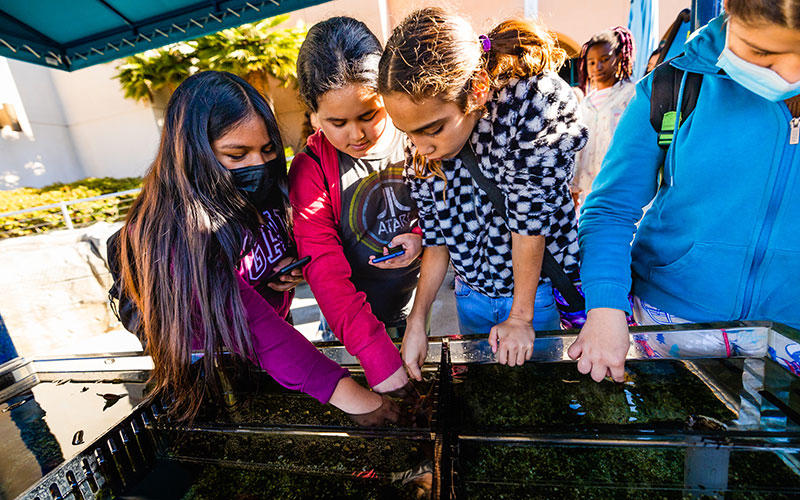 Students get hands-on with an aquarium.