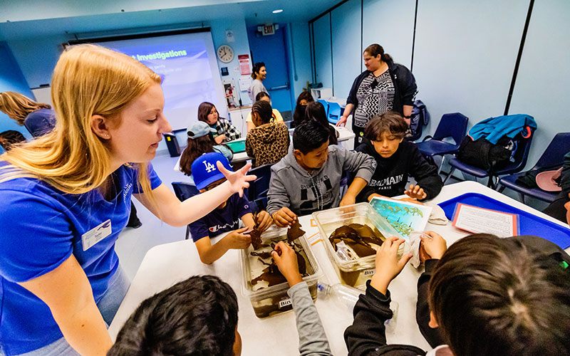 Students learn about kelp.