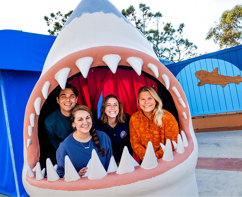 Shark Head Photo Op