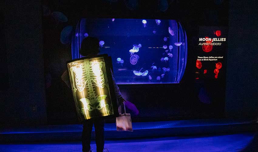A kid stands in front of a Moon Jelly habitat wearing a glowing skeleton costume.