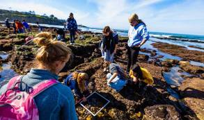 A group of people explore local tide pools.