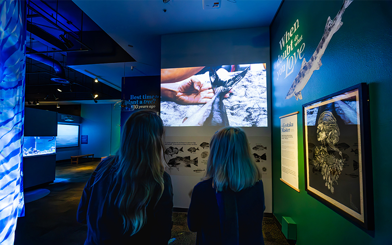 Guest explore Hold Fast exhibit at Birch Aquarium.