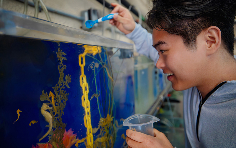A guest feeds a seahorse behind the scenes.