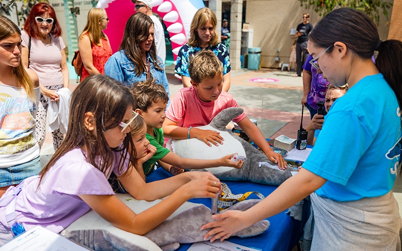 Guests learned how sharks get a check-up during an interactive station at the aquarium.
