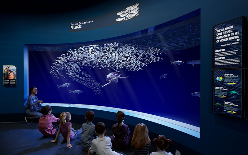 With expanded viewing windows, next-gen digital displays, and immersive projections, guests will dive into the dynamic ecosystems of our coast.