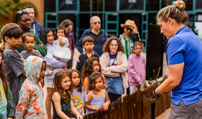 A Birch Aquarium staff member wearing a blue shirt holds a snake during a reptile meet and greet as a group of children and adults watch attentively. 