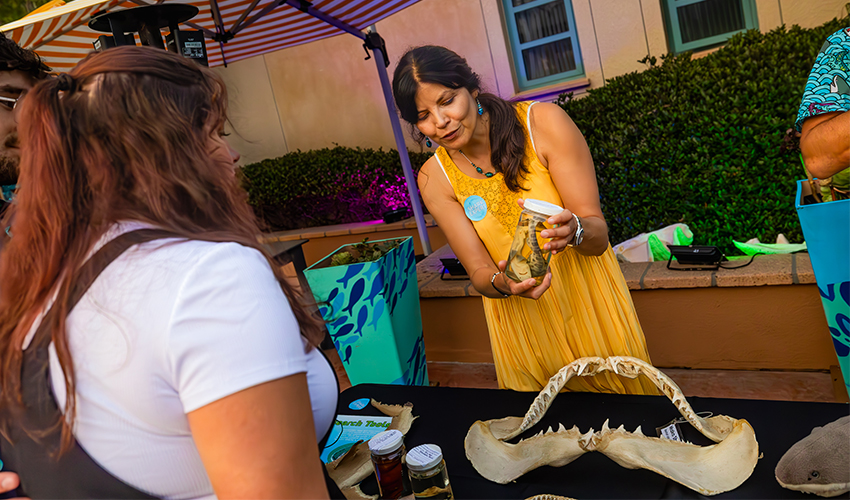 A shark scientist in a yellow dress holds a jar with a preserved marine specimen at an outdoor science education table. She is speaking to an aquarium guest across the table, which also displays shark jaws and other preserved specimens.