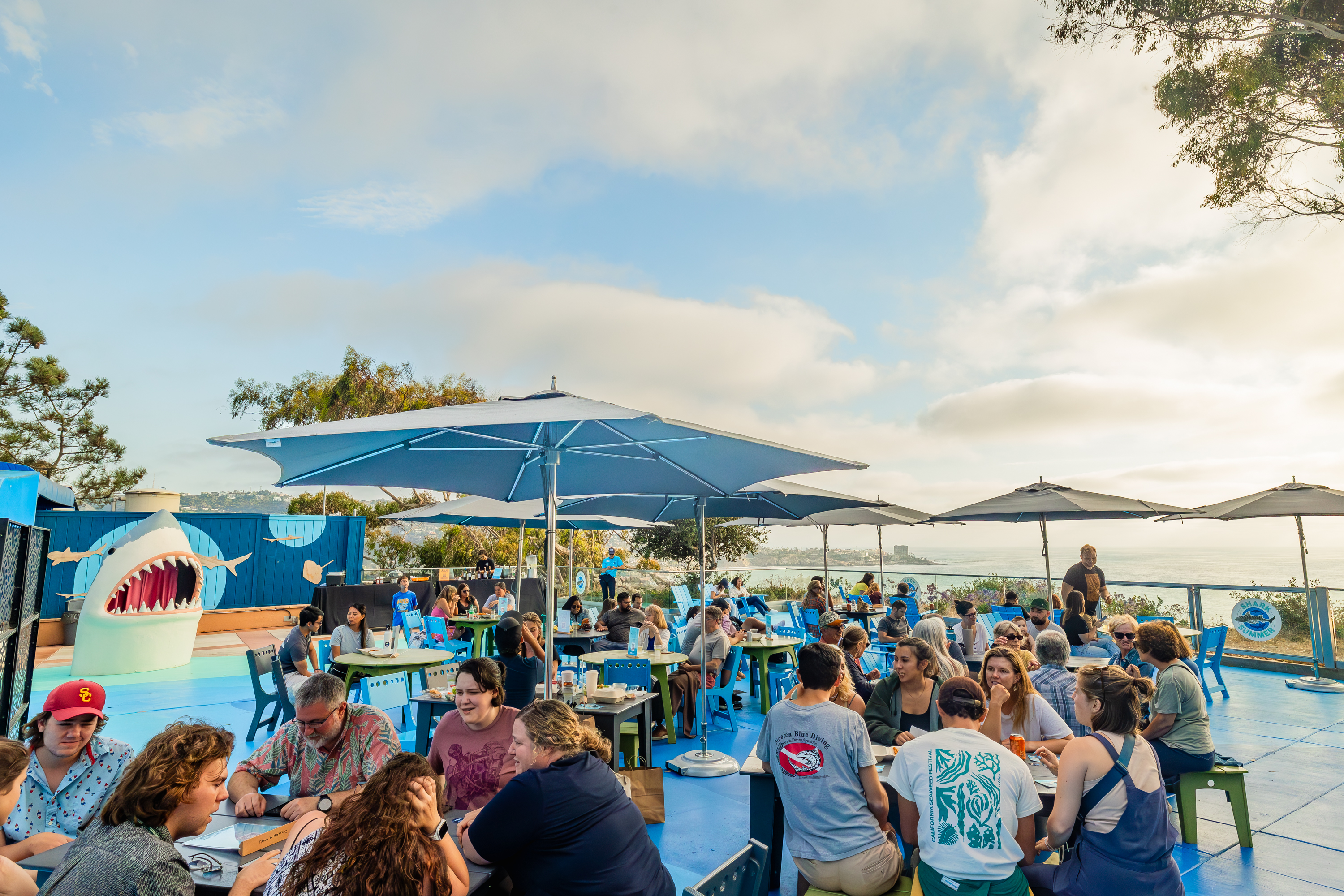Guests participate in Shark Trivia on Blue Beach at Birch Aquarium, with sweeping ocean views in the background.