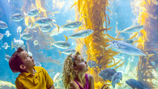 Exhibits Exhibits