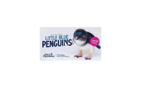 Little blue penguins announcement image