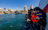 Students gather plankton samples for analysis with downtown San Diego buildings in the background.