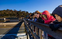 Students look at the Pacific Ocean over the railing of Scripps Pier.