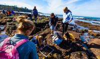 A group of people explore local tide pools.