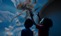 rendering of two young guests looking up into an Octopus habitat 