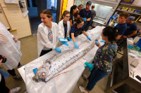 A team of scientists during the oarfish necropsy. Photo: Erik Jepsen/UC San Diego