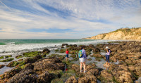 Participants in Birch Aquarium's Tidepooling Adventures learn to respectfully navigate the intertidal zone