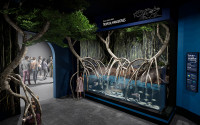 Rendering of a vibrant mangrove habitat featured in the Living Seas exhibition.