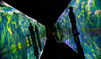 Guests view Embodied Pacific: Ocean Unseen installation Superradiance. Embodying Earth.