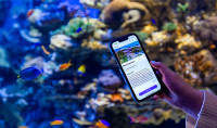 Person holding up a phone displaying Birch Aquarium's free digital guide on the Bloomerg Connects app, with colorful tropical fish and vibrant corals in the background.