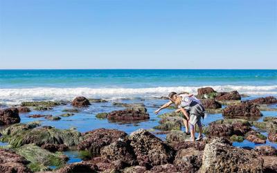 tidepooling adventure