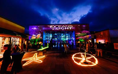 Oceans at Night illuminates the courtyard.