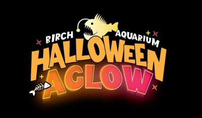 Halloween Aglow logo