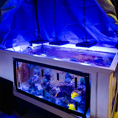 Since many corals spawn at night, the new coral reproduction habitat will help the Coral Care Team shift the spawning time to daytime. This habitat will allow the team to simulate nighttime for the corals during our daytime, increasing the likelihood of capturing a spawning event while they are onsite.