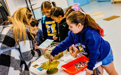 Students observing and interacting with some marine life in a hands-on educational experience.