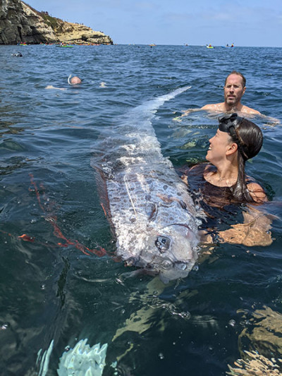 Kayakers and snorkelers with the rare deep-sea oarfish in La Jolla Cove. Photo: Michael Wang