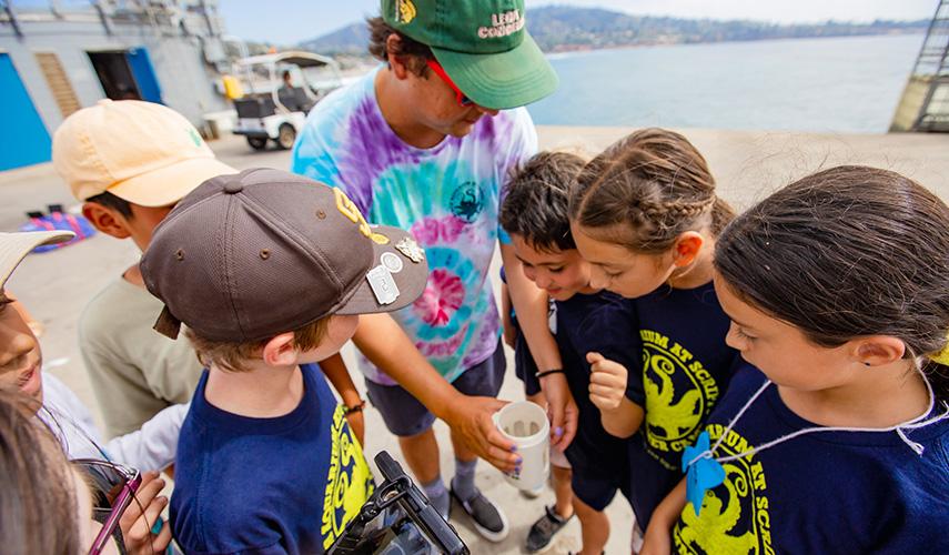 Students on Scripps Pier look into a sample cup of seawater.