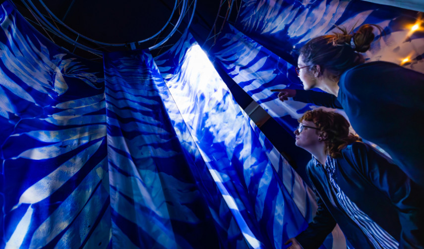two guests look up into the blue and white cyanotype printed kelp forest in Hold Fast
