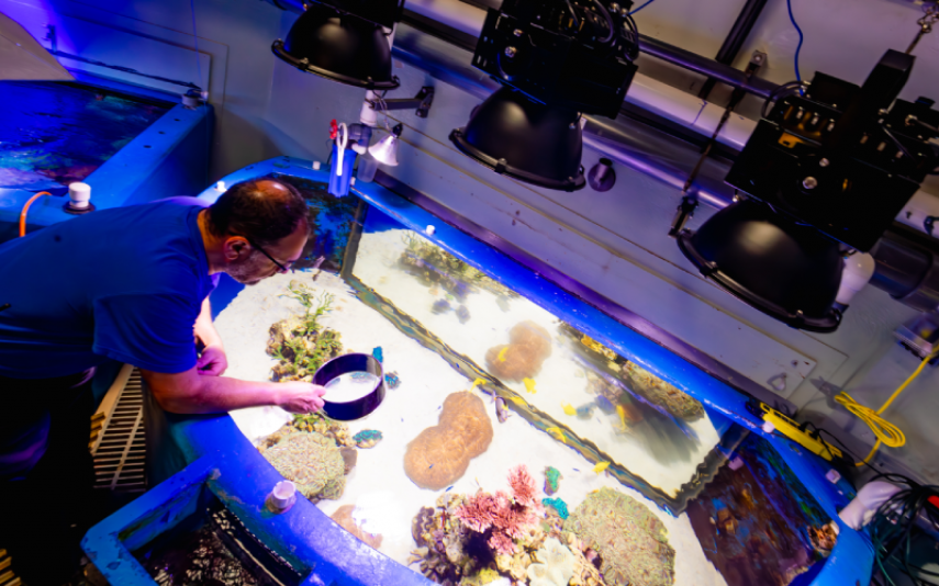 Fernando Nosratpour checks on corals behind-the-scenes at Birch Aquarium