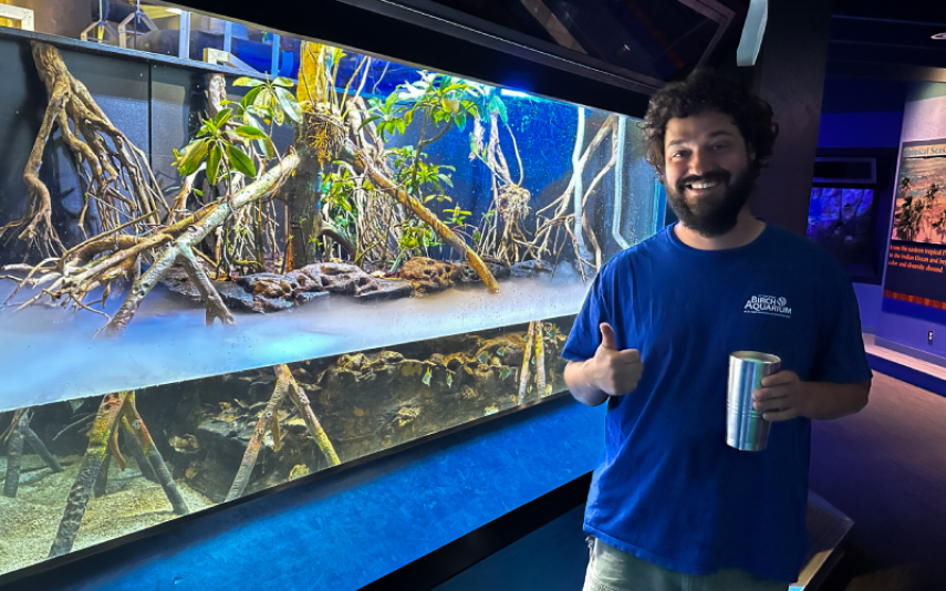 Sean Bruce care for the Mangrove habitat at Birch Aquarium