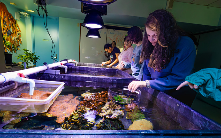 Guests observe vibrant coral from above, peering into the water.