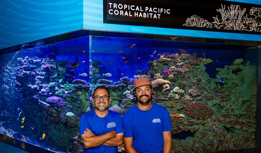 Two Birch Aquarium staff members smile and pose together in front of the Tropical Pacific Coral Habitat.