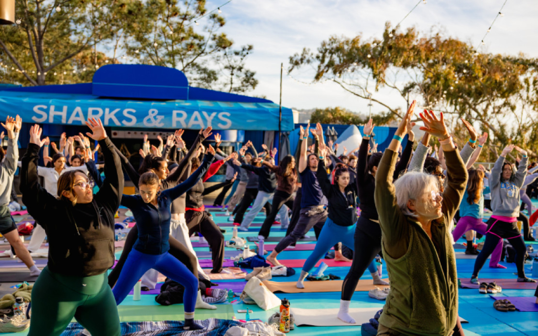 students participate in a yoga class on a blue patio at Birch Aquarium at sunset, overlooking the ocean