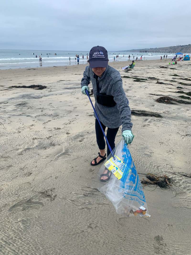 A volunteer picks up trash off La Jolla Shores beach during the aquarium’s member beach cleanup.