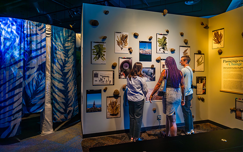 Guests standing in front of a colorful mural depicting algae and scientific research at